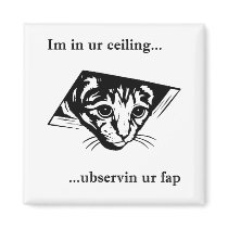 Ceiling Cat ubservin u...