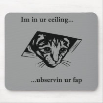 Ceiling Cat ubservin u...