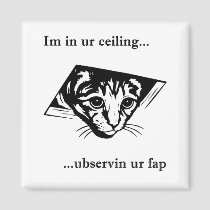 Ceiling Cat ubservin u... magnets
