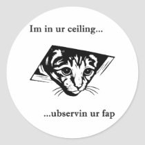 Ceiling Cat ubservin u... stickers