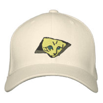 Ceiling Cats Embroidered Hat