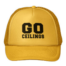 CEILING FAN (Go Ceilings) Mesh Hats