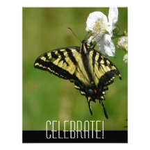 Celebrate! Any Occasion Butterfly Invitation