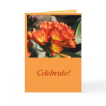 Celebrate, Birthday Card
