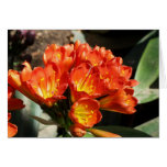 Celebrate Greeting Card