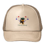 Celebrate Liberty - Fireworks Mesh Hat