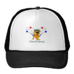 Celebrate Liberty - Fireworks Mesh Hats