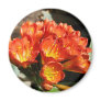 Celebrate Refrigerator Magnets
