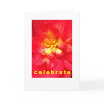 Celebrate Occasion Card