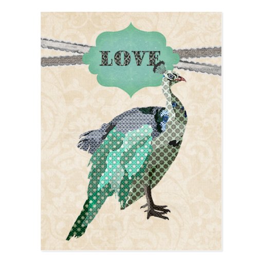 Celeste Peacock Love   Postcard