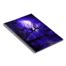Celestial Night Fairy Notebook