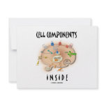 Cell Components Inside
