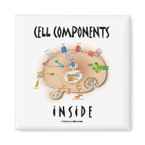 Cell Components Inside