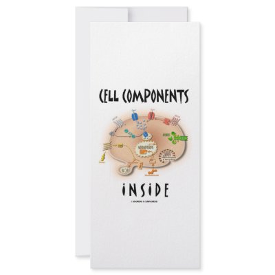 Cell Components Inside by wordsunwords