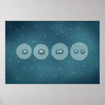 Cell Division Posters
