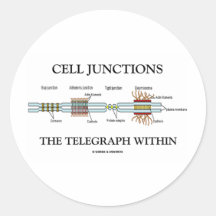 Cell Junctions The Telegraph Within Round Stickers