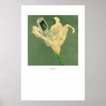Cellflower Poster