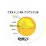 Cellular Nucleus Inside (Cell Biology) Stickers