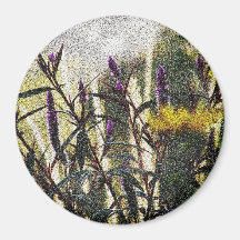 Celosia Feather Refrigerator Magnet