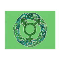 Celtic Knotwork Transgender Symbol Postcard