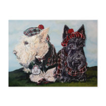 Celtic Scottish Terriers Postcards