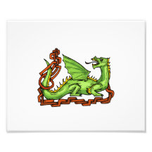 Celtic style dragon and rope.png photo art