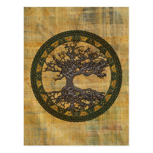 Celtic Tree of Life [Yggdrasil] Post Card