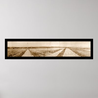 Cemetery France WWI Photo 1919 Poster by lc_panoramicphotos