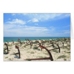 Cemetery Of Anchors cards