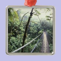 Central America, Costa Rica, Monteverde Cloud ornaments