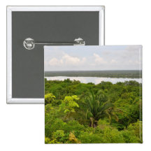 Central America Rain Forest in Belize Pinback Button