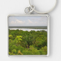 Central America Rain Forest in Belize Key Chain