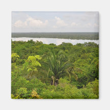 Central America Rain Forest in Belize Magnets
