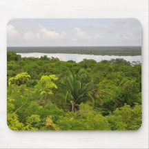 Central America Rain Forest in Belize Mouse Pads