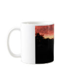 Central Florida Sunset Coffee Mugs