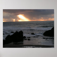 Central Oregon Coast Collection Poster