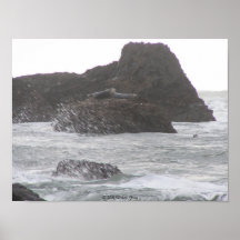 Central Oregon Coast Collection Print