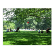 Central Park Heart Postcards