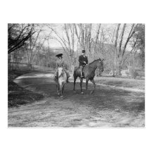 Central Park Horseback Riding Vintage Post Cards