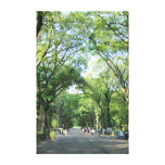Central Park : La promenade du poète pendant l'été Toiles Tendues Sur Châssis