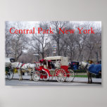 Central Park / New York Poster