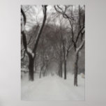Central Park NYC Print