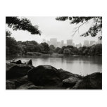 Central Park Postcard