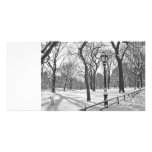 Central Park Snowfall B&W Photo Card Template