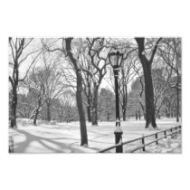 Central Park Snowfall B&W Photograph