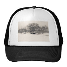 Central Park Winter - Bow Bridge Snow Mesh Hats