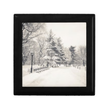 Central Park Winter Path - New York City Jewelry Boxes