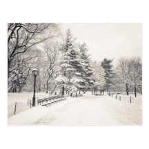 Central Park Winter Path - New York City Post Cards
