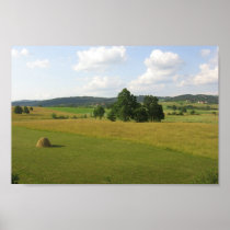 Central Serbian Farms Posters