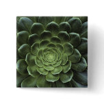 Centre of Cactus Pinback Buttons